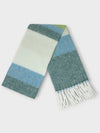 Alpaca Striped Muffler Shawl Blue Green - MAISON KITSUNE - BALAAN 5