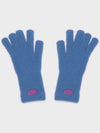 FLUFFY LOGO GLOVE BLUE - RECLOW - BALAAN 6