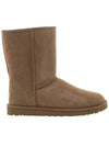 Clear color short boots 5800 CHESTNUT - UGG - BALAAN 2