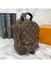 Palm Springs Monogram Mini Backpack Brown - LOUIS VUITTON - BALAAN 2