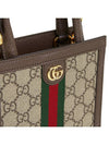 Ophidia GG Mini Bag Brown - GUCCI - BALAAN 8