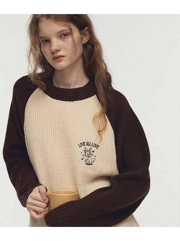 Hoppy raglan block knit brown - CPGN STUDIO - BALAAN 1