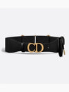 Saddle Pouch Belt - DIOR - BALAAN 1