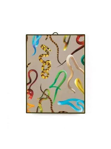 TP Mirror Snake 22 5 x 29 - SELETTI - BALAAN 1