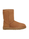 Classic Shorts 2 Winter Boots Chestnut - UGG - BALAAN.