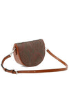 Crown Me Shoulder Bag Brown - ETRO - BALAAN 3