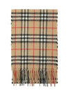 Junior Scarf 8076028 A7026 - BURBERRY - BALAAN 5