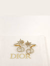 Women's Claire Drouin Earrings Gold E1099CDLCY - DIOR - BALAAN 3