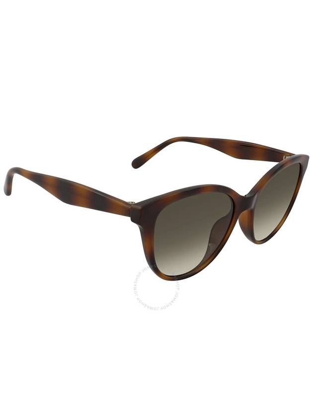 Round Gradient Cat-Eye Sunglasses Brown - SALVATORE FERRAGAMO - BALAAN 4