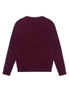 Men's Round Cable Sweater Wine SW22ISW02WN - SOLEW - BALAAN 2