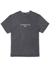 Silver door Pigment T shirt Gray - AOX - BALAAN 3