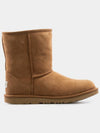 Classic Short II - UGG - BALAAN 1