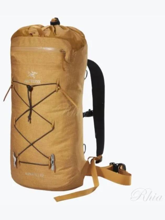 Alpha Fl 20 Backpack Yellow - ARC'TERYX - BALAAN 2