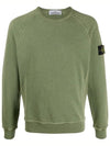 Logo Wappen Washed Raglan Sweatshirt Olive - STONE ISLAND - BALAAN 2