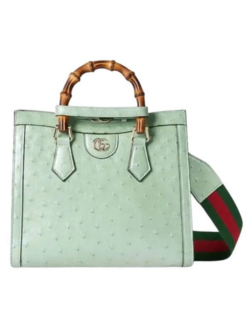 Diana Ostrich Small Tote Bag Pastel Green - GUCCI - BALAAN 1