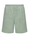 Oblique Shorts Green - DIOR - BALAAN 2