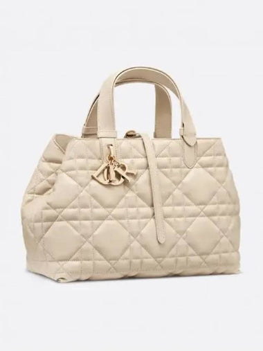 Tujukh Medium Bag M2821OSHJ M49U - DIOR - BALAAN 1