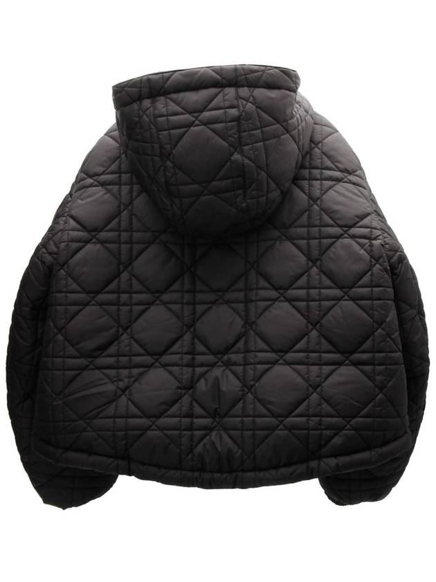 Macrocannage hood crop puffer padding 0110hx - DIOR - BALAAN 6