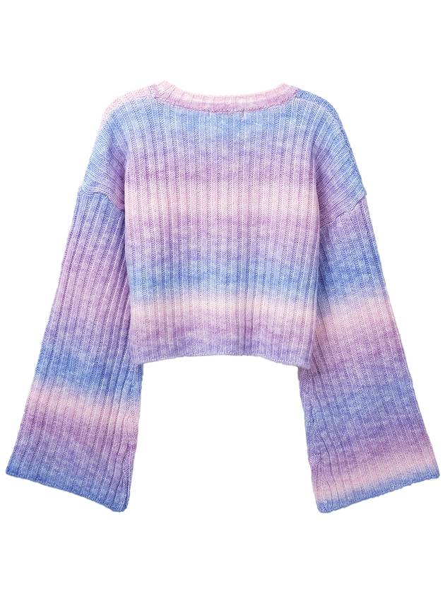 Blur Stripe Crop Knit Top Rainbow - HIGH SCHOOL DISCO - BALAAN 4