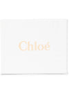 Alphabet Small Half Wallet Green - CHLOE - BALAAN 10