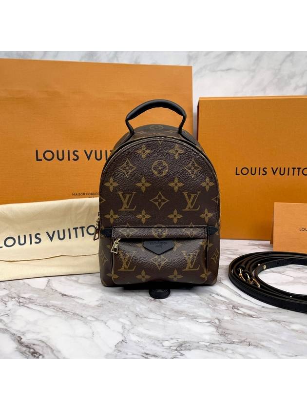 Palm Springs Monogram Mini Backpack Brown - LOUIS VUITTON - BALAAN 8