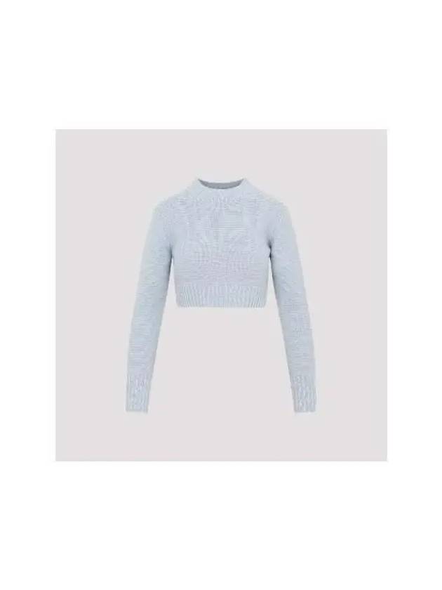 Max Mara KAYA Cashmere Crop Knit 2313661733600 12106 001 - MAX MARA - BALAAN 2