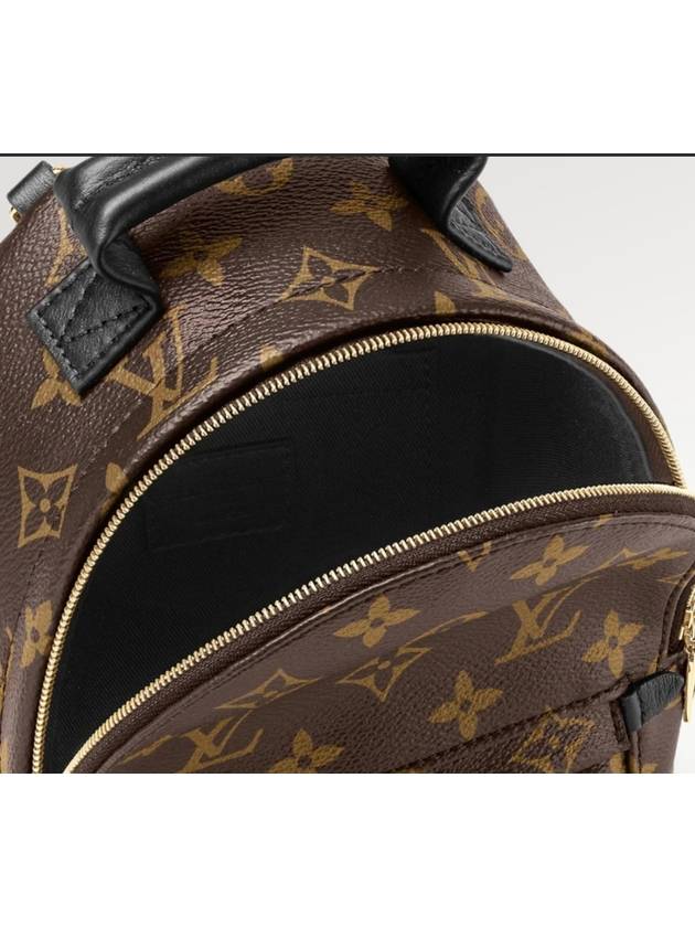 Palm Springs Monogram Mini Backpack Brown - LOUIS VUITTON - BALAAN 8