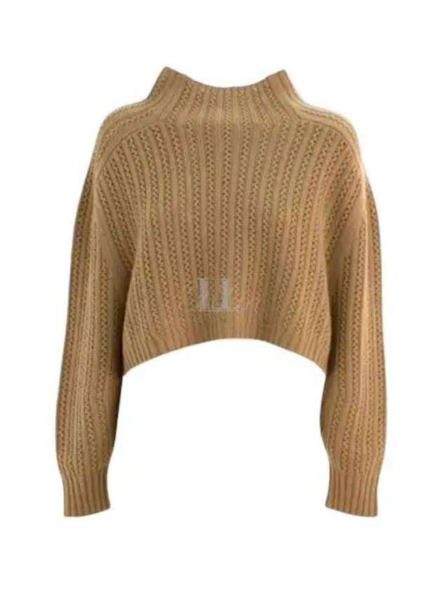 Hodeida Crop Knit Top Brown - MAX MARA - BALAAN 2