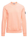 Wappen Patch Crew Neck Sweatshirt Peach - STONE ISLAND - BALAAN 1