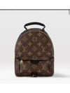 Palm Springs Monogram Mini Backpack Brown - LOUIS VUITTON - BALAAN 2