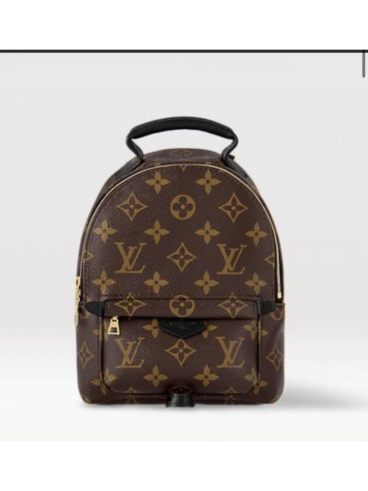 Palm Springs Monogram Mini Backpack Brown - LOUIS VUITTON - BALAAN 2