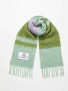 Striped Alpaca Mohair Muffler Green - MARNI - BALAAN 2