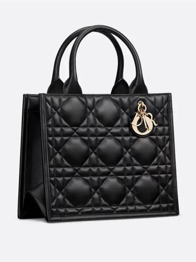 Macrocannage Calfskin Small Book Tote Bag Black - DIOR - BALAAN 5