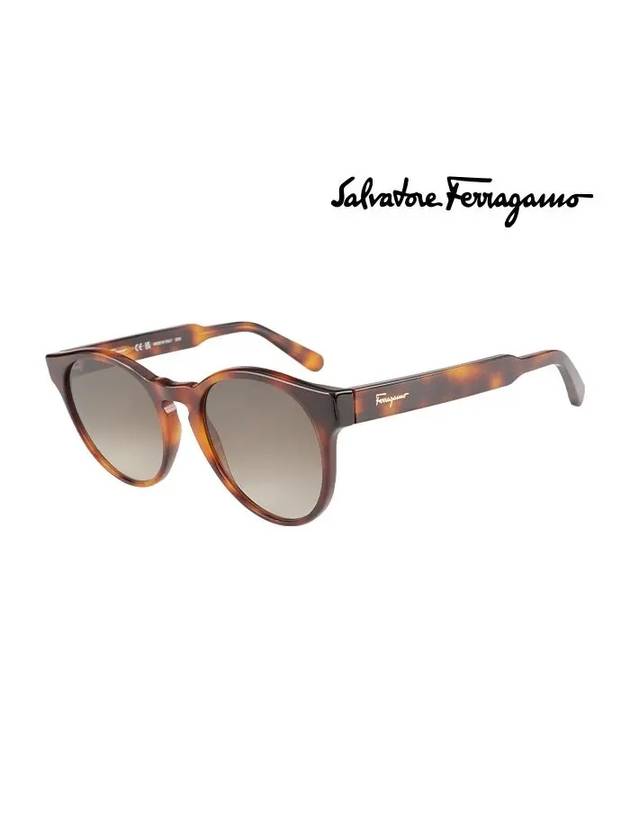 Gradient Round Sunglasses Havana - SALVATORE FERRAGAMO - BALAAN 2