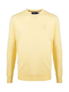 Classic Crew Neck Wool Knit Top Yellow - POLO RALPH LAUREN - BALAAN 1