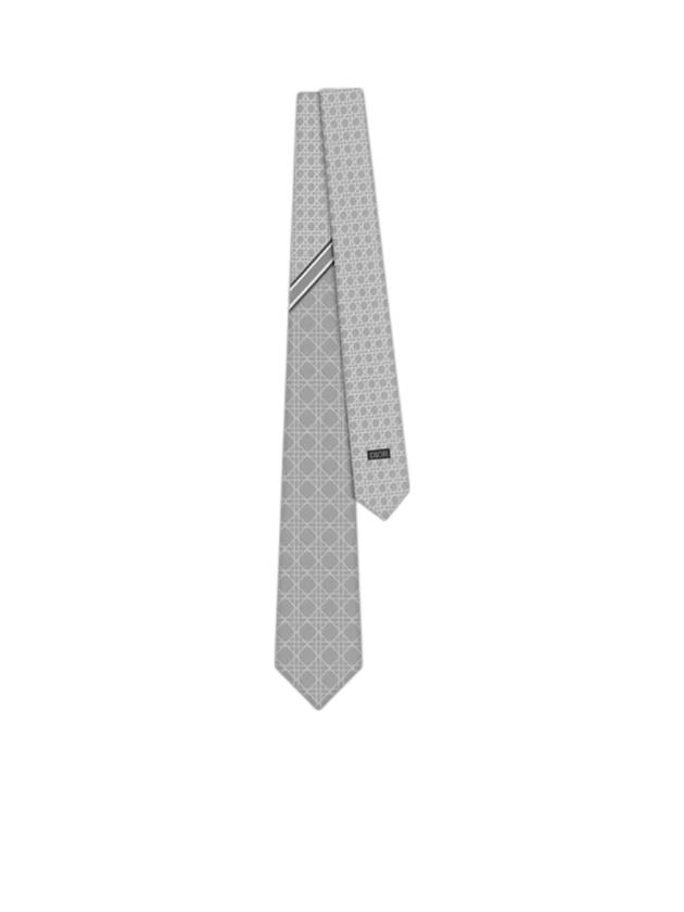 Striped Cannage Silk Tie Grey - DIOR - BALAAN 1