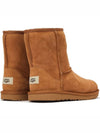 Kids Classic II Boots K Chestnut 1017703K CHE - UGG - BALAAN 3