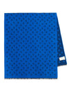 Skull Print Wool Silk Muffler Blue - ALEXANDER MCQUEEN - BALAAN 1