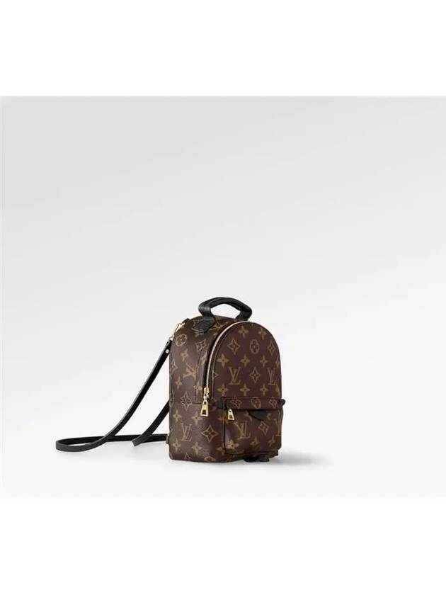 Palm Springs Monogram Mini Backpack Brown - LOUIS VUITTON - BALAAN 4