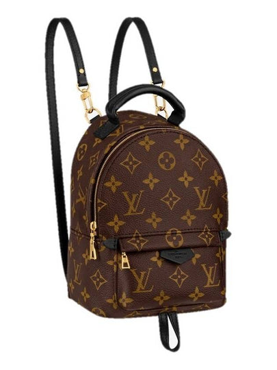 Palm Springs Monogram Mini Backpack Brown - LOUIS VUITTON - BALAAN 2