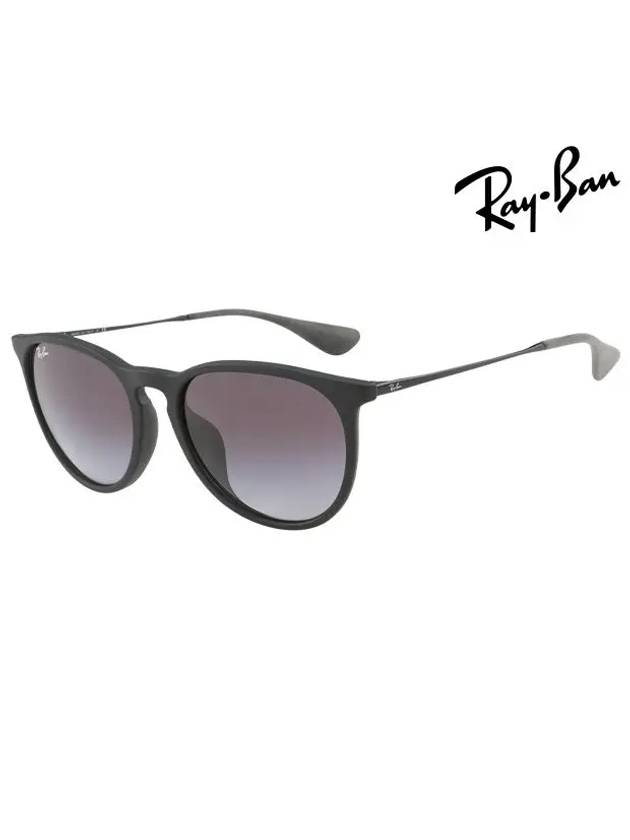 Erika Classic Sunglasses Black - RAY-BAN - BALAAN 2