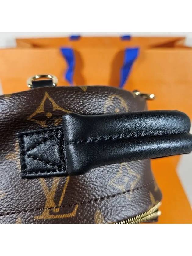 Palm Springs Monogram Mini Backpack Brown - LOUIS VUITTON - BALAAN 9