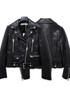 Biker Cropped Leather Jacket Black - ACNE STUDIOS - BALAAN 2