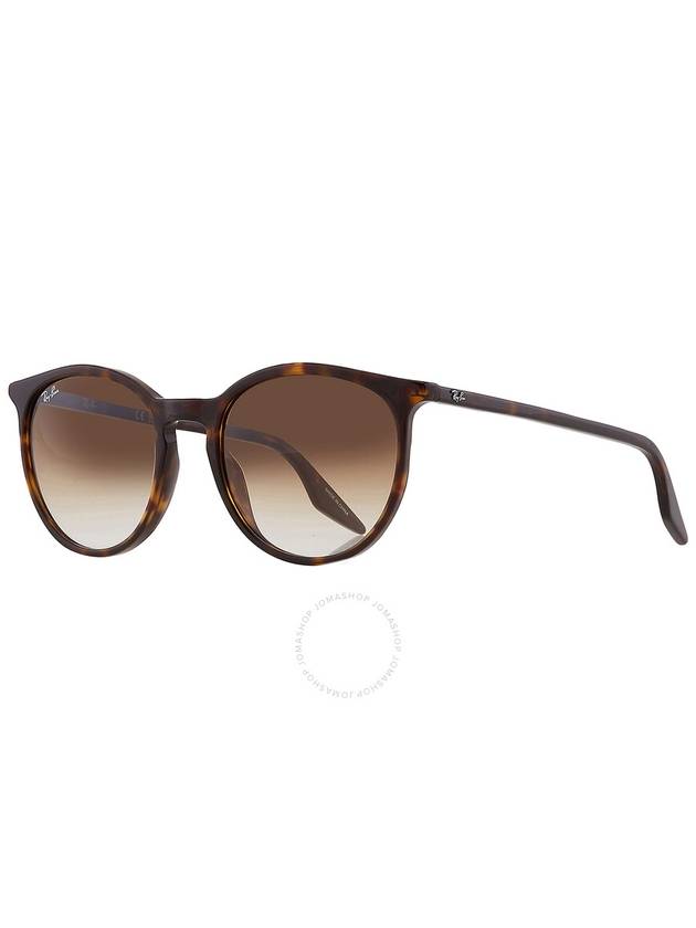 Ray Ban Brown Gradient Phantos Unisex Sunglasses RB2204 902/51 54 - RAY-BAN - BALAAN 2