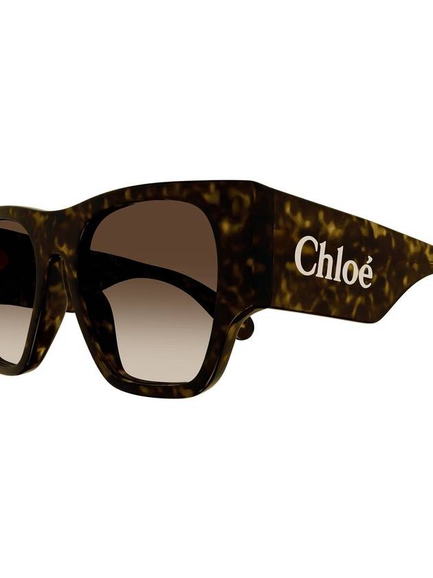 Chloé Sunglasses - CHLOE - BALAAN 3