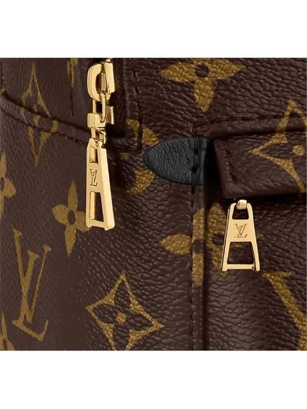 Palm Springs Monogram Mini Backpack Brown - LOUIS VUITTON - BALAAN 5