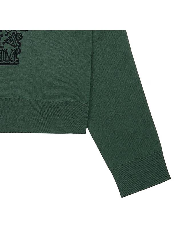 Sir Cropped Virgin Wool Knit Top Green - MAX MARA - BALAAN 7