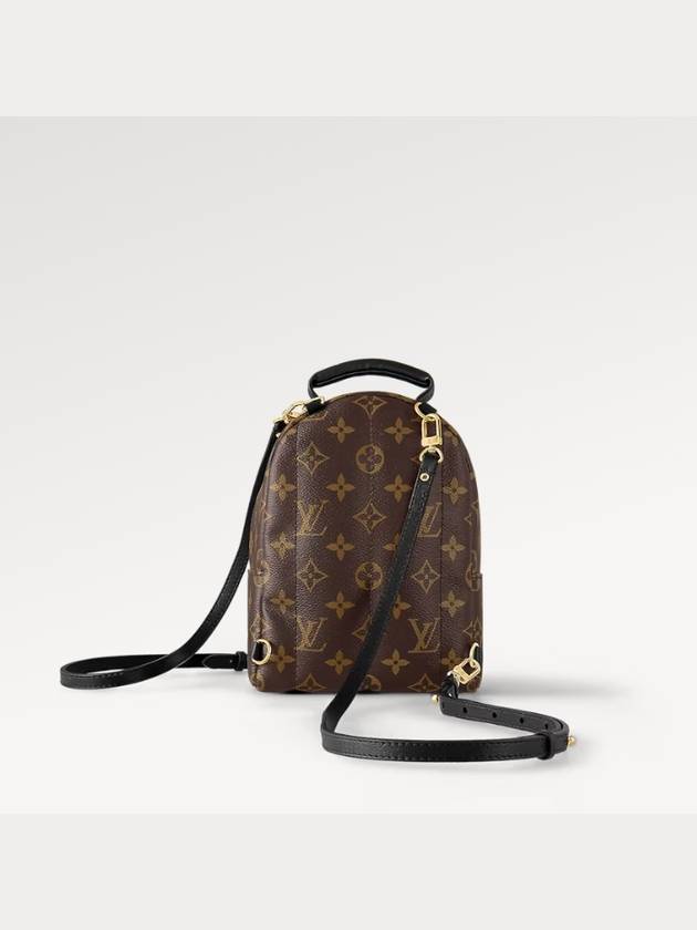 Palm Springs Monogram Mini Backpack Brown - LOUIS VUITTON - BALAAN 6