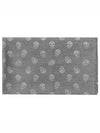 Skull Print Wool Silk Muffler Grey - ALEXANDER MCQUEEN - BALAAN 2