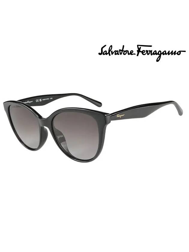 Round Gradient Cat-Eye Sunglasses Black - SALVATORE FERRAGAMO - BALAAN 2